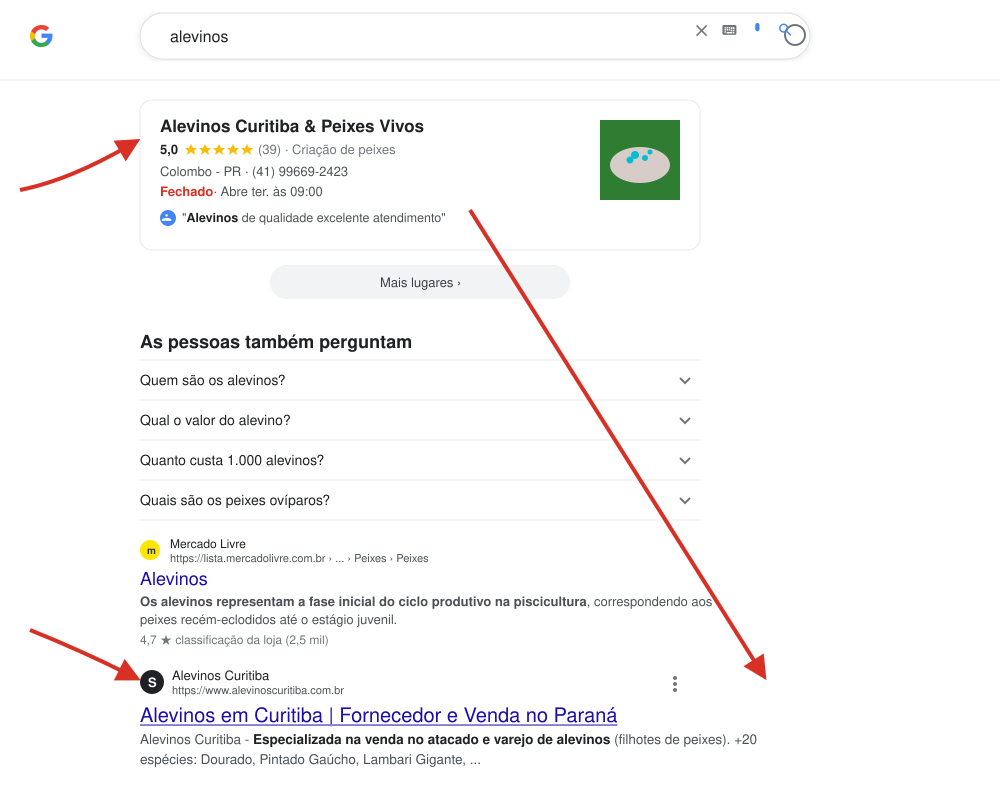 Alevinos Curitiba presente no Google Maps e no resultado orgânico para a palavra-chave alevinos