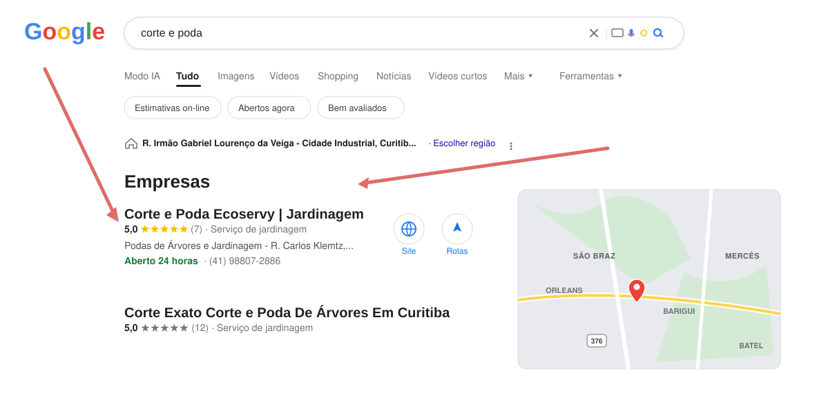 Ecoservy como primeiro resultado visível no Google Local para corte e poda em Curitiba